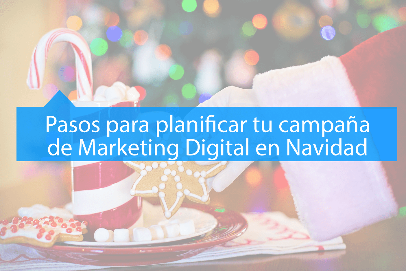 TikTok para empresas